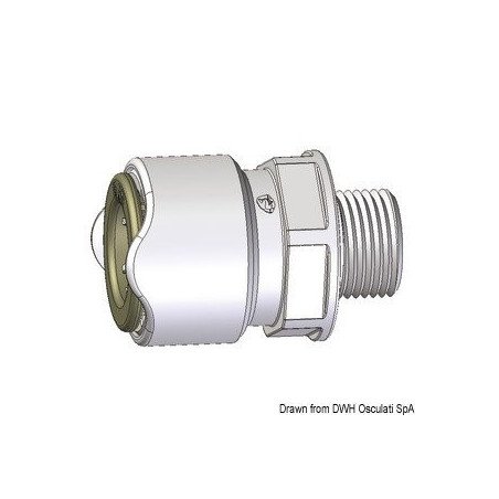 Adaptateur mâle 1/2" Whale BSP Whale - Adaptateur 1/2" mâle WHALE B...