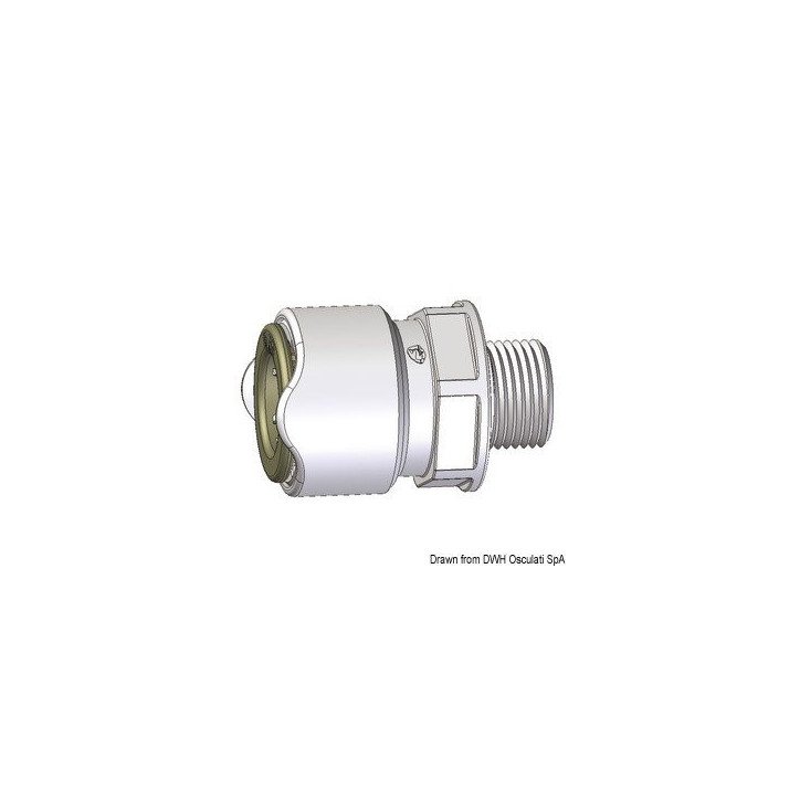 Adaptateur mâle 1/2" Whale BSP