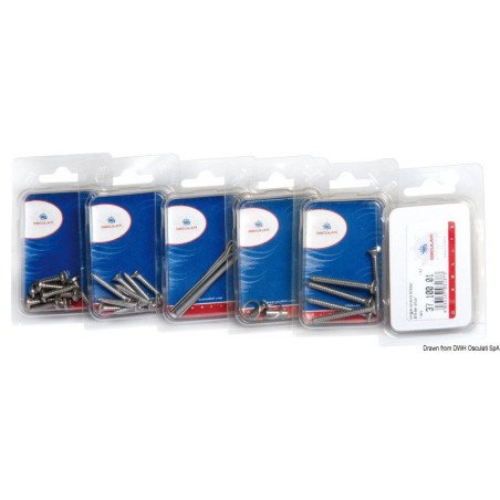 Autotaraudeuse tête conique AISI316 2,9x10 mm (Blister 20 pièces) O...