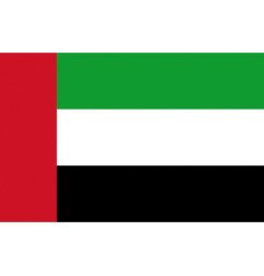Pavillon Emirats Arabes 40 x 60 cm Osculati - Pavillon - Émirats Ar...