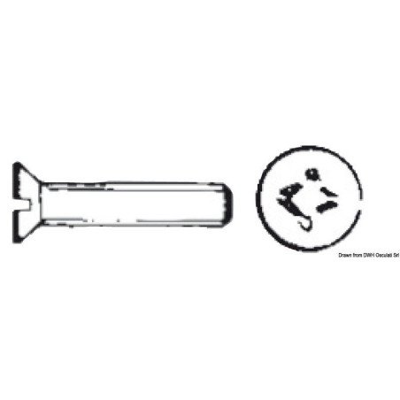 Vis tête conique fendue tournevis 6x100 mm AISI316 Osculati - Vis t...