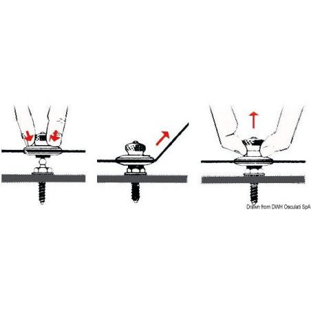 Bouton male LOXX vis autotaraudeuse
