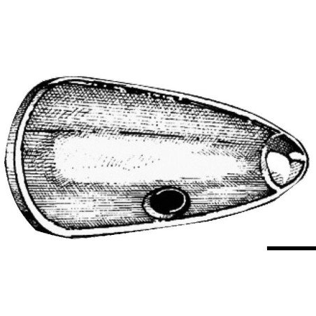 Ogive en zinc pour hélice Ø 22/25/30 mm Osculati - Ogive en zinc - ...