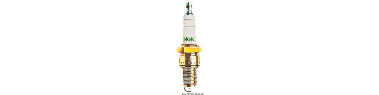 Bougies  Japonaises NGK  originales