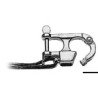 Mousqueton pour ski nautique